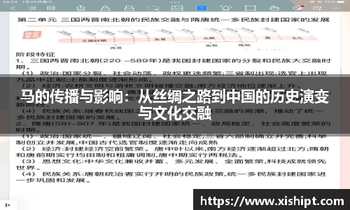 马的传播与影响：从丝绸之路到中国的历史演变与文化交融